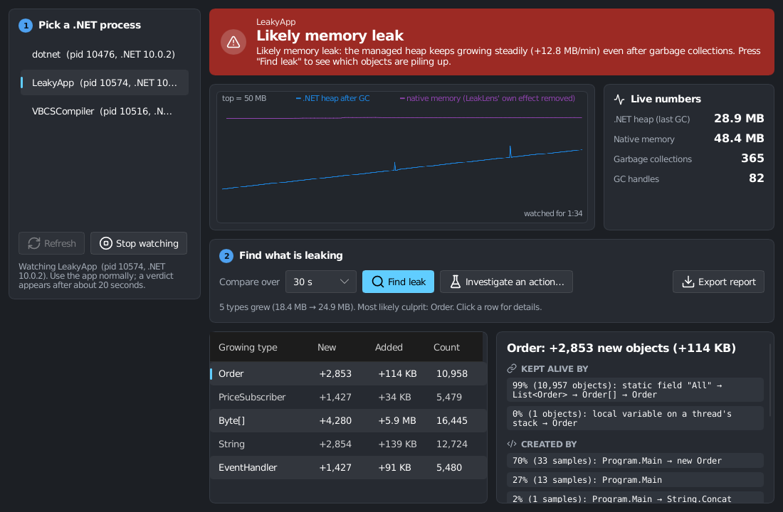 Screenshot of LeakLens
